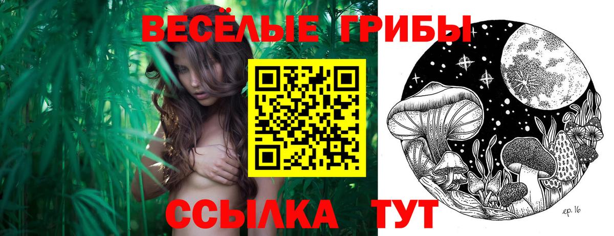 Псилоцибиновые грибы прущие грибы  цена наркотик  Галлюциногенные грибы мицелий  Тайшет  Вход с VPN 