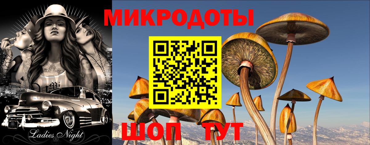 Галлюциногенные грибы прущие грибы Тайшет